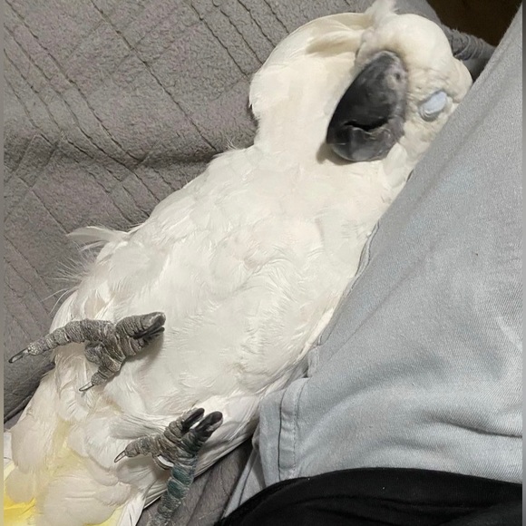 MTP - Picture 3 of 6